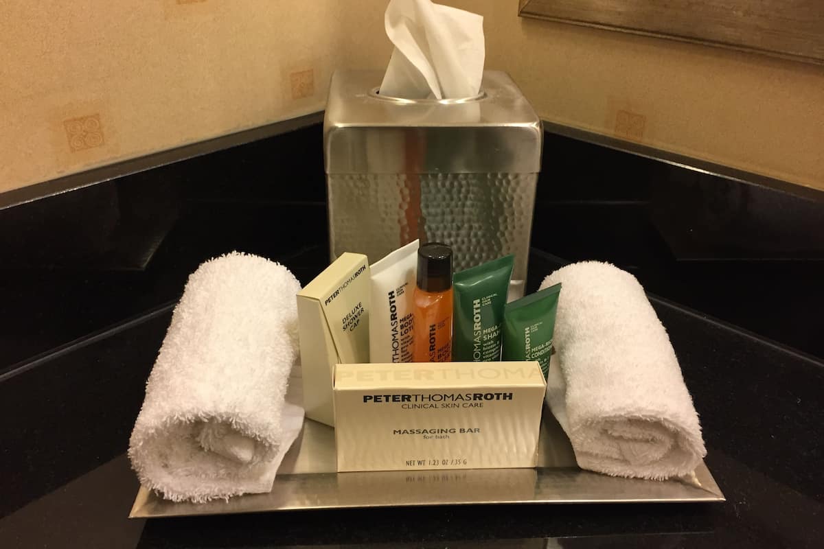 combined shower/bathtub, free toiletries, hair dryer, towels