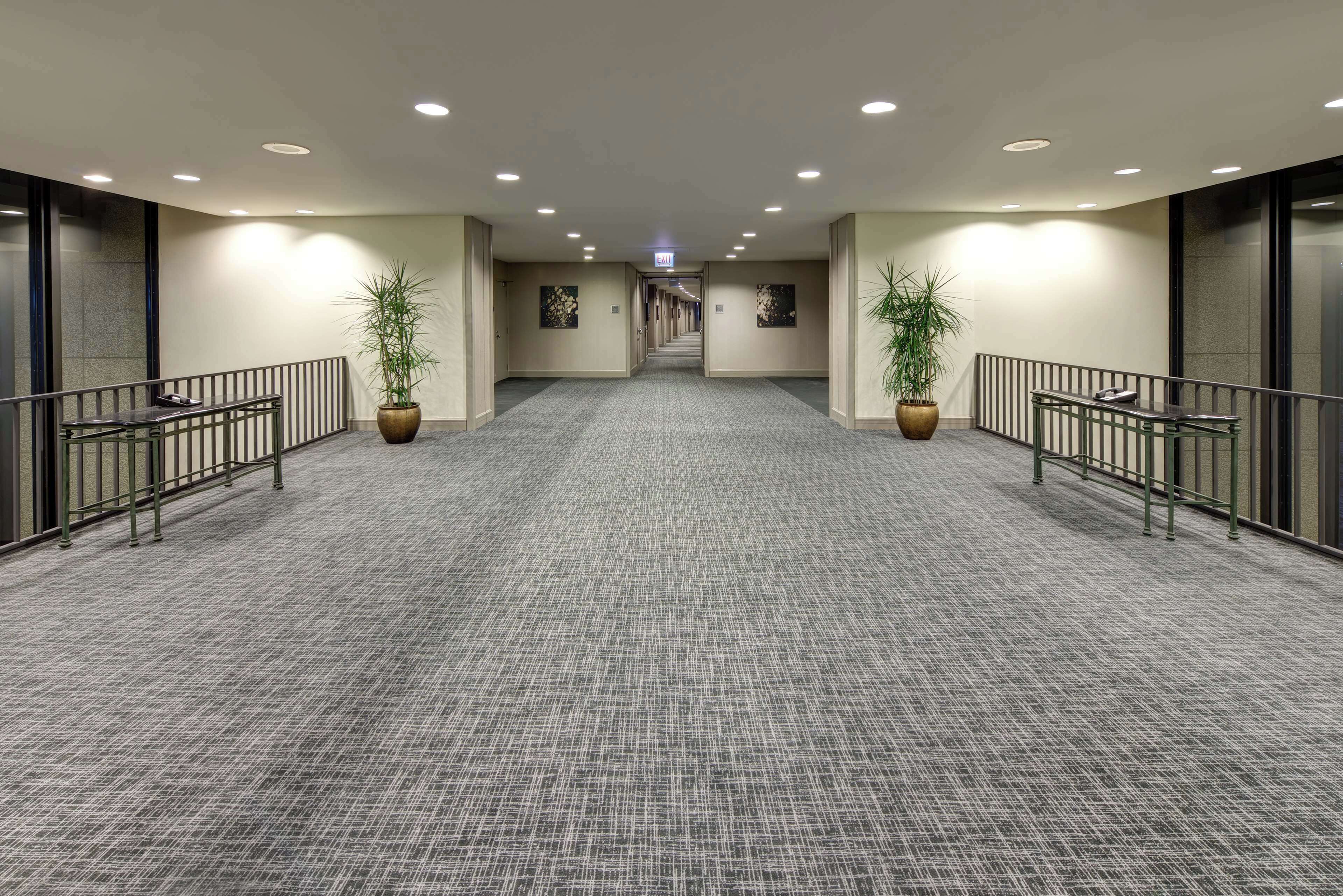 Un pasillo de hotel con pisos alfombrados, barandales de metal y plantas en macetas.