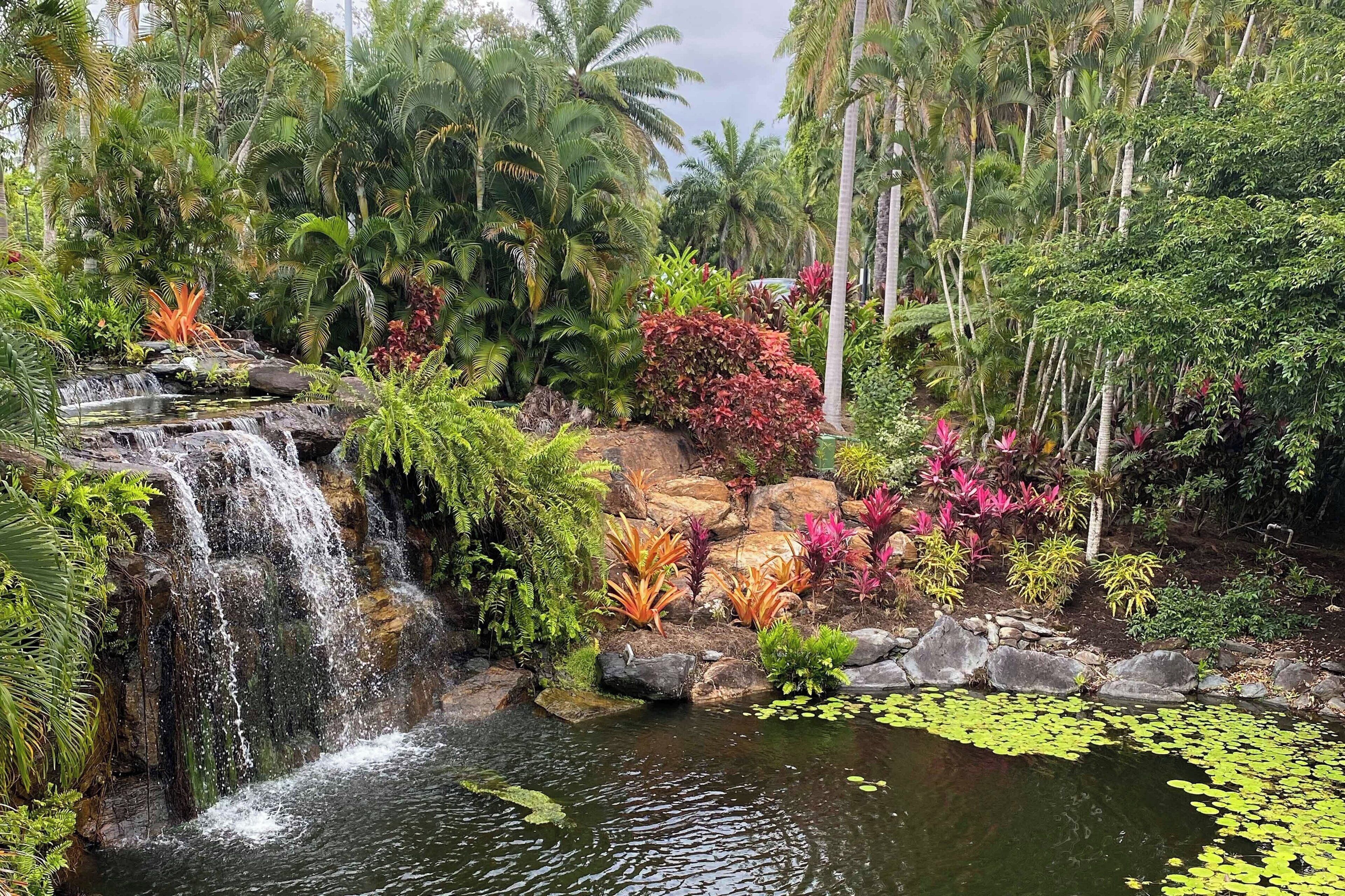 A waterfall cascading into a pond surrounded by lush tropical vegetation and rocks.