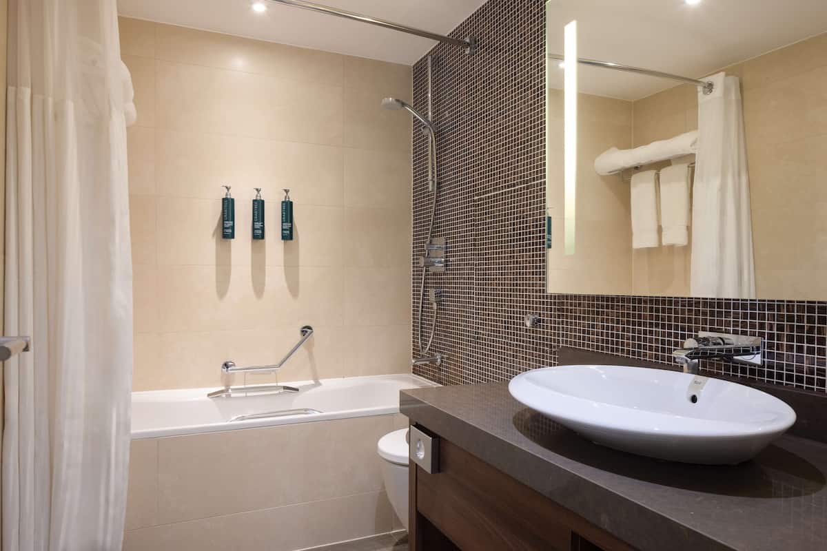 combined shower/bathtub, free toiletries, hair dryer, towels