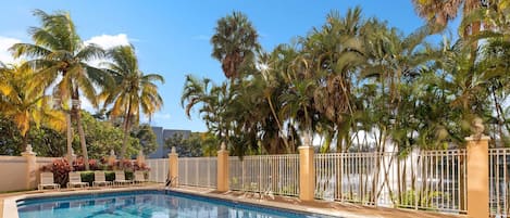 A swimming pool with lounge chairs and palm trees.