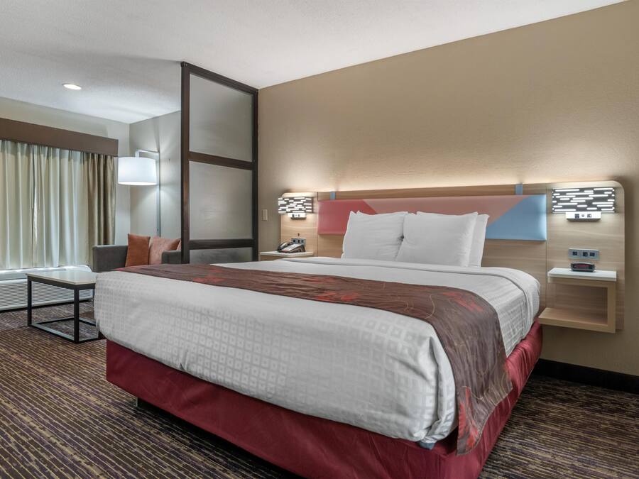 Standard Room, 1 King Bed, Non Smoking, Refrigerator & Microwave (with Single Sofabed;Larger Room) | Premium bedding, pillowtop beds, desk, blackout drapes
