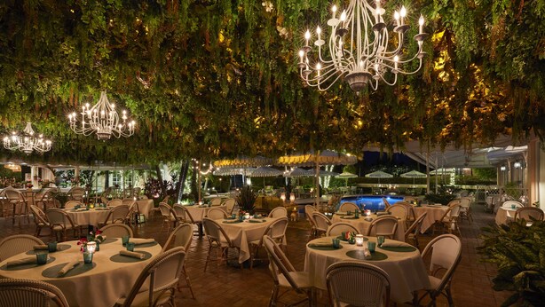 An outdoor dining area with round tables and wicker chairs, surrounded by lush greenery and hanging lights. - The Colony Hotel Palm Beach (Palm Beach)