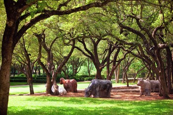 Property amenity at Renaissance Austin Hotel