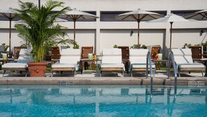 Un espace aménagé au bord de la piscine, avec des chaises longues, des parasols et un palmier.