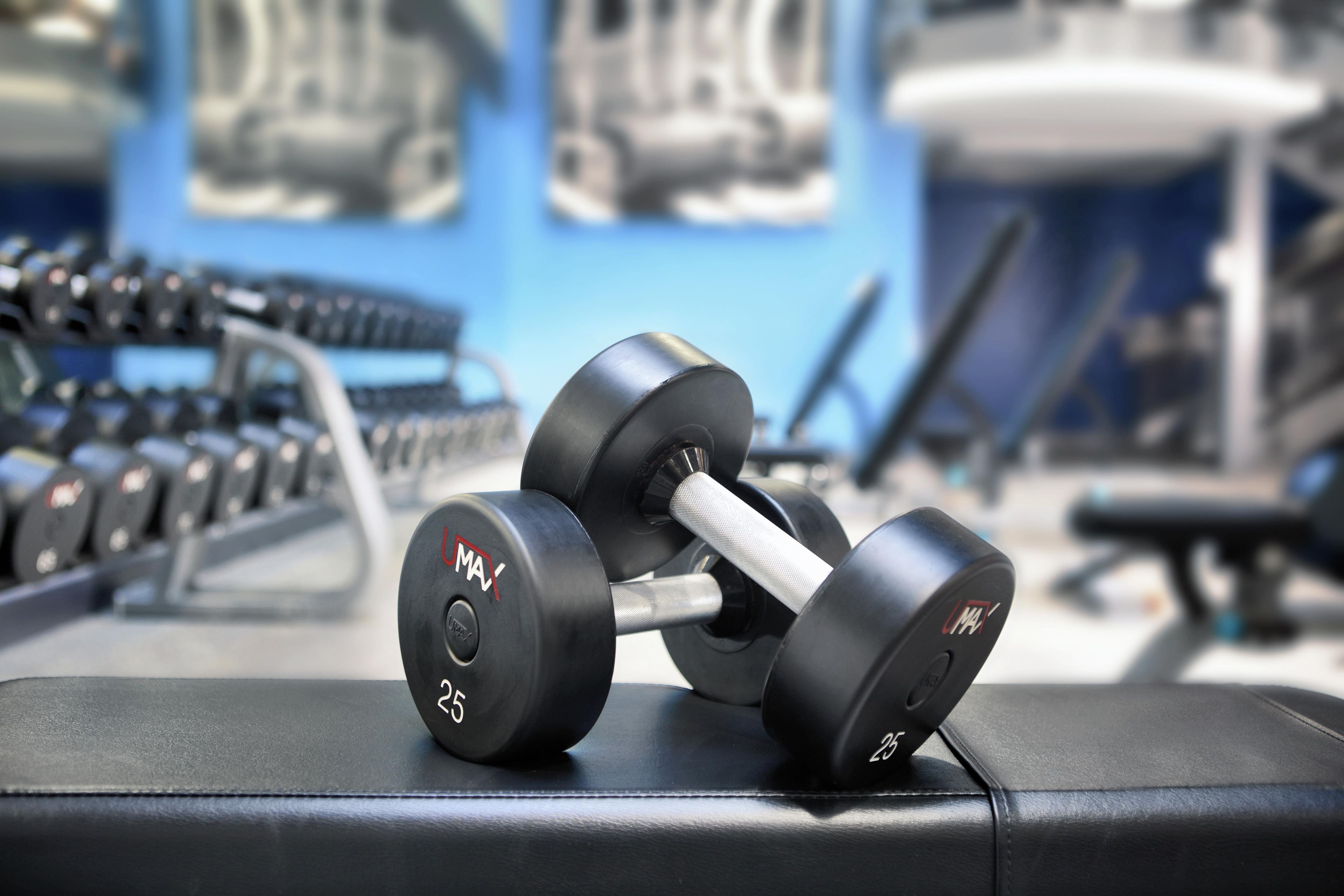 A set of black dumbbells on a gym bench with a blue wall in the background.