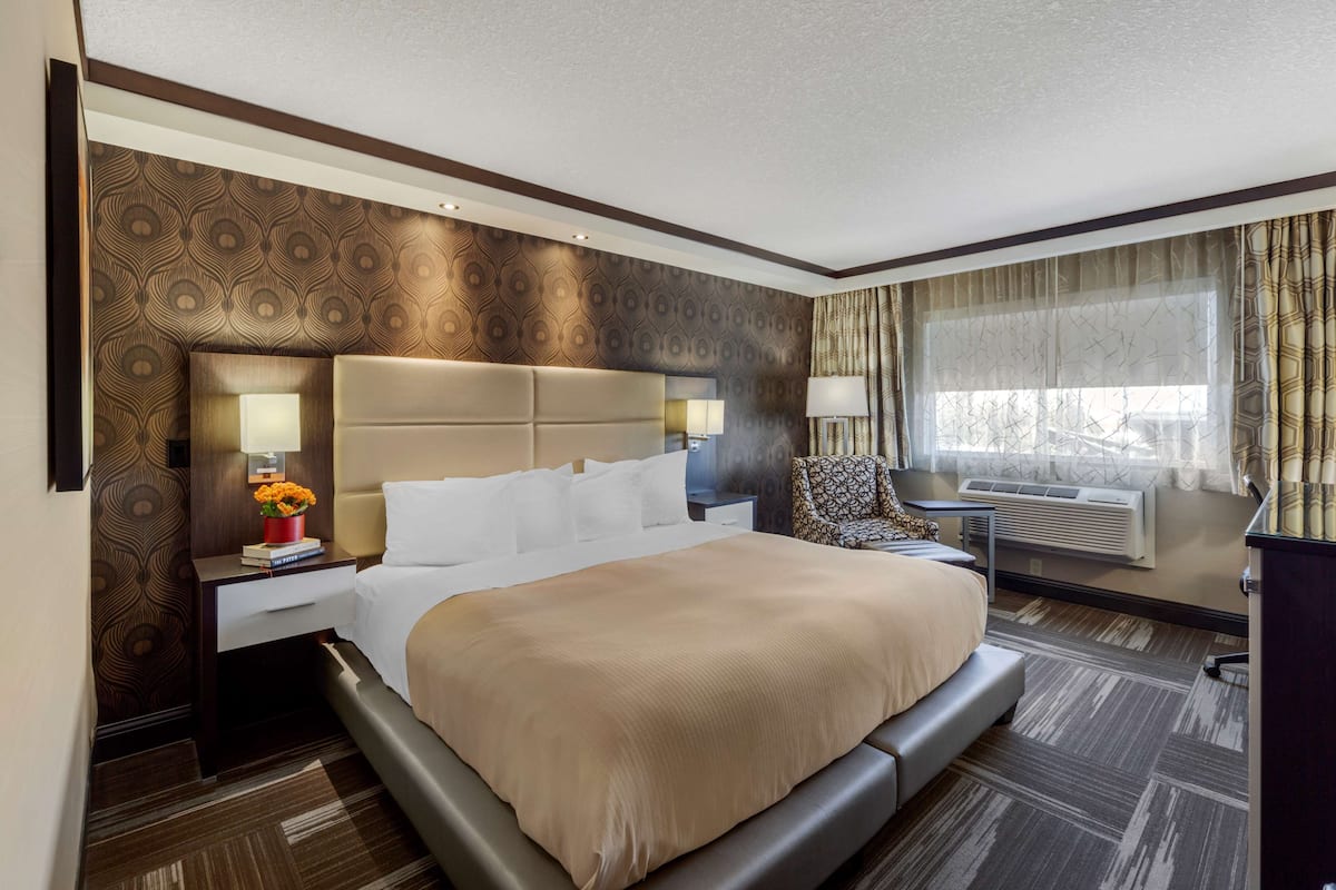 hypo-allergenic bedding, individually furnished, desk, laptop workspace