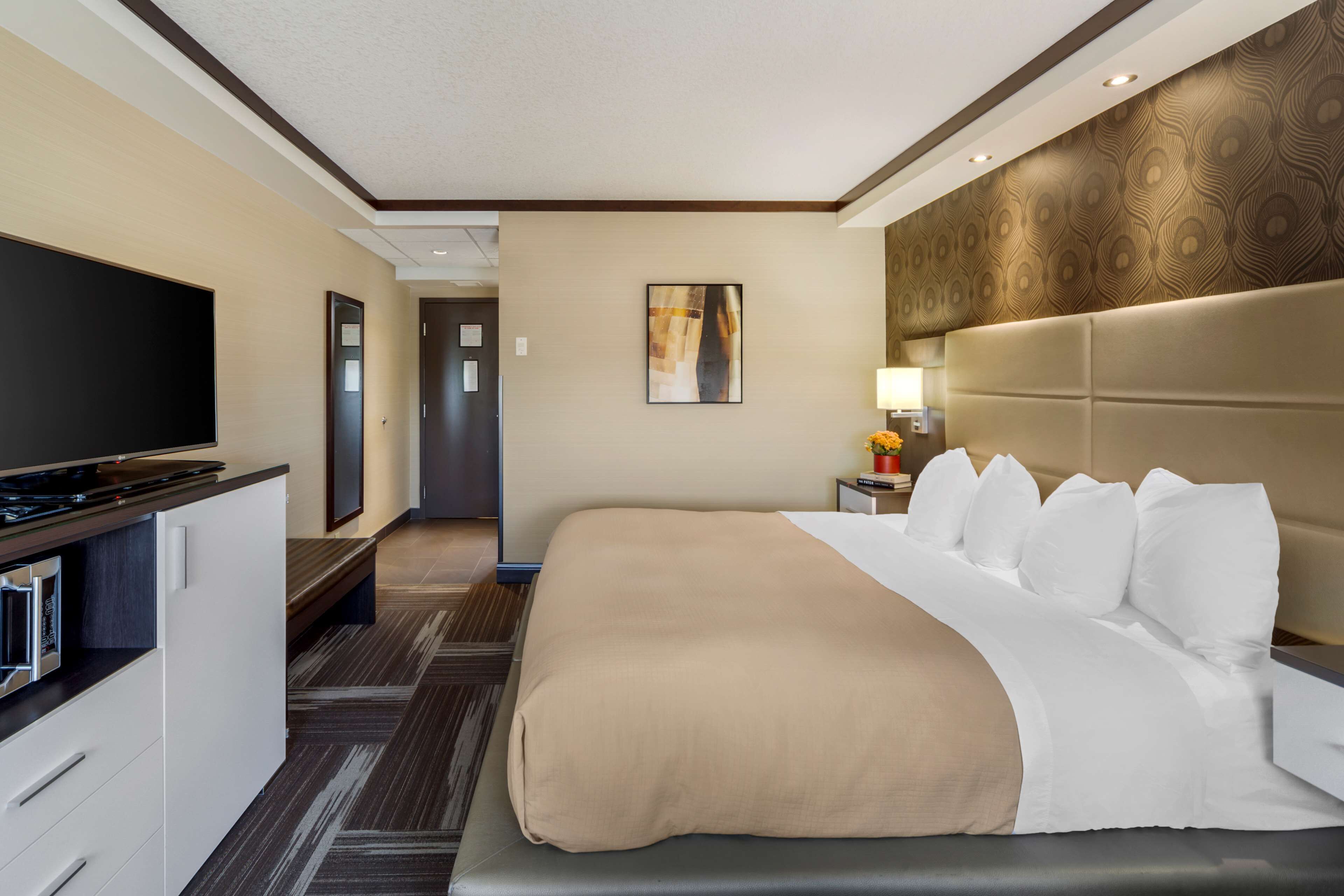 hypo-allergenic bedding, individually furnished, desk, laptop workspace