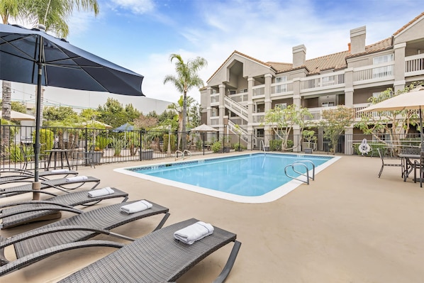 Outdoor pool, pool loungers