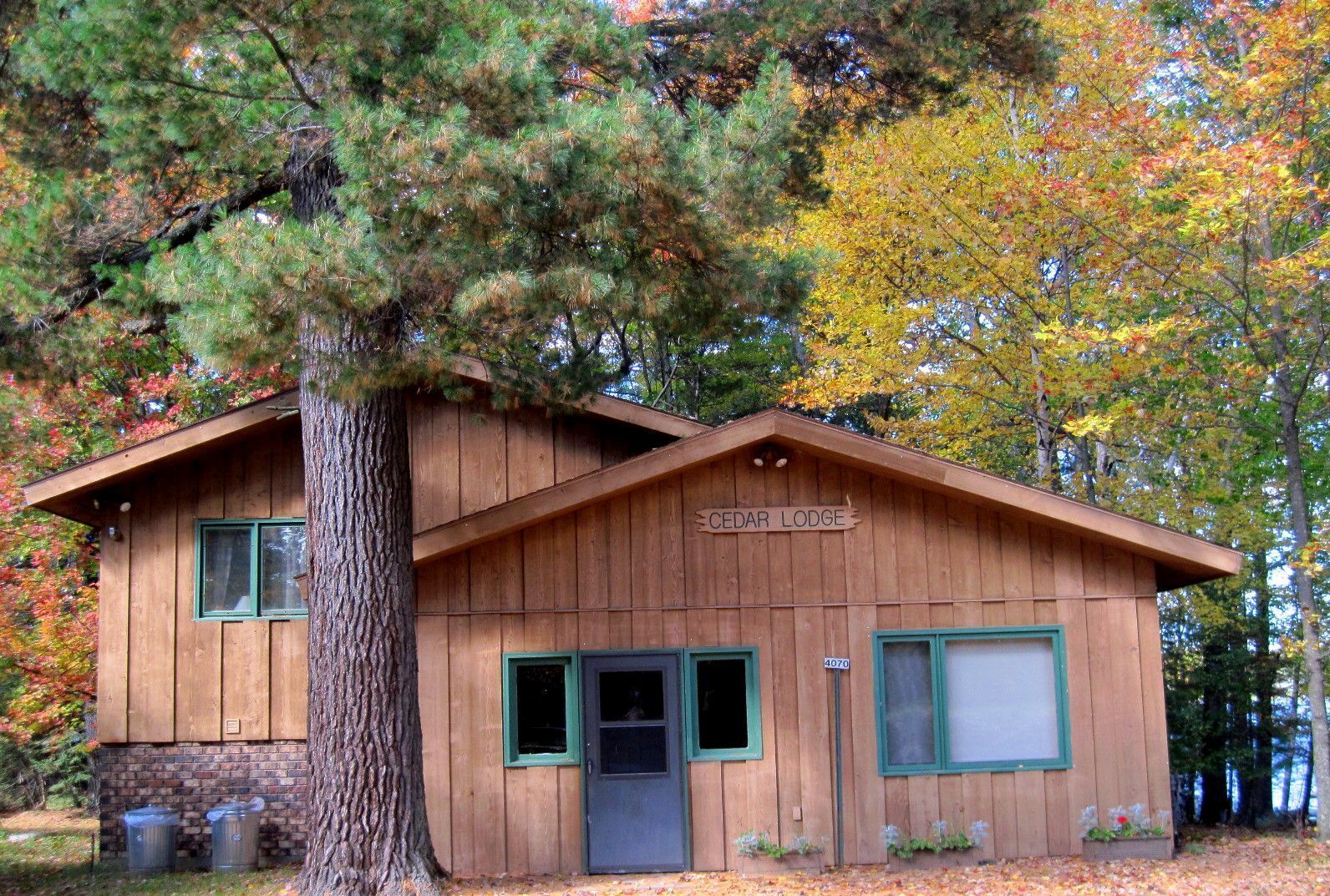 A wooden lodge named 'CEDAR LODGE' with a large tree in front, two windows with green frames, and a door.