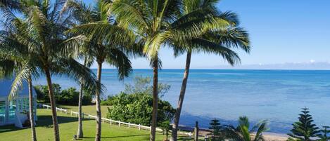 A view of a beach with palm trees and a clear blue sky.
