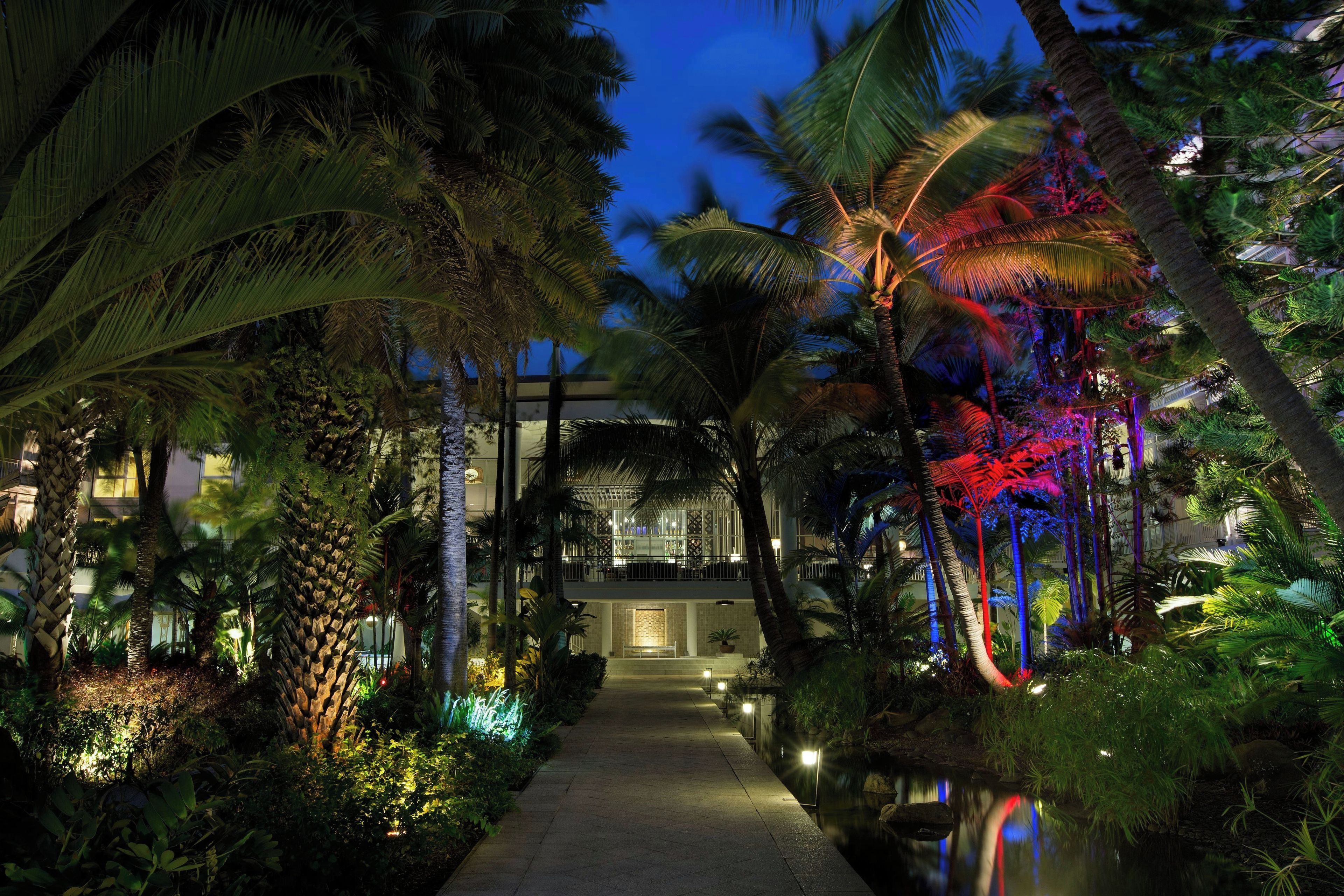 A pathway leading to a building surrounded by palm trees and illuminated by artificial lighting.