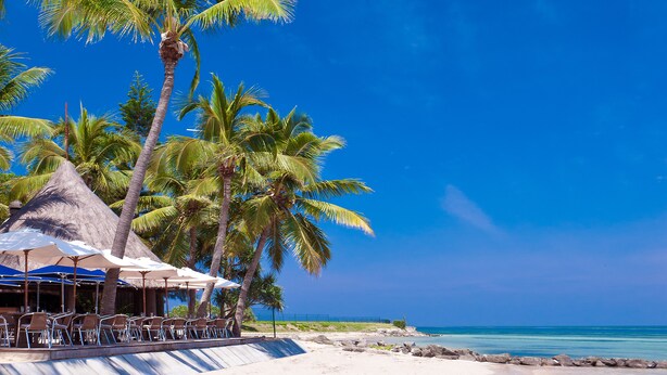 Una località balneare con palme, lettini e ombrelloni sotto un cielo azzurro limpido.