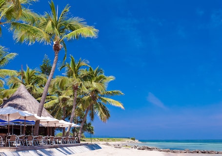 A beachside resort with palm trees, beach chairs, and umbrellas under a clear blue sky.
