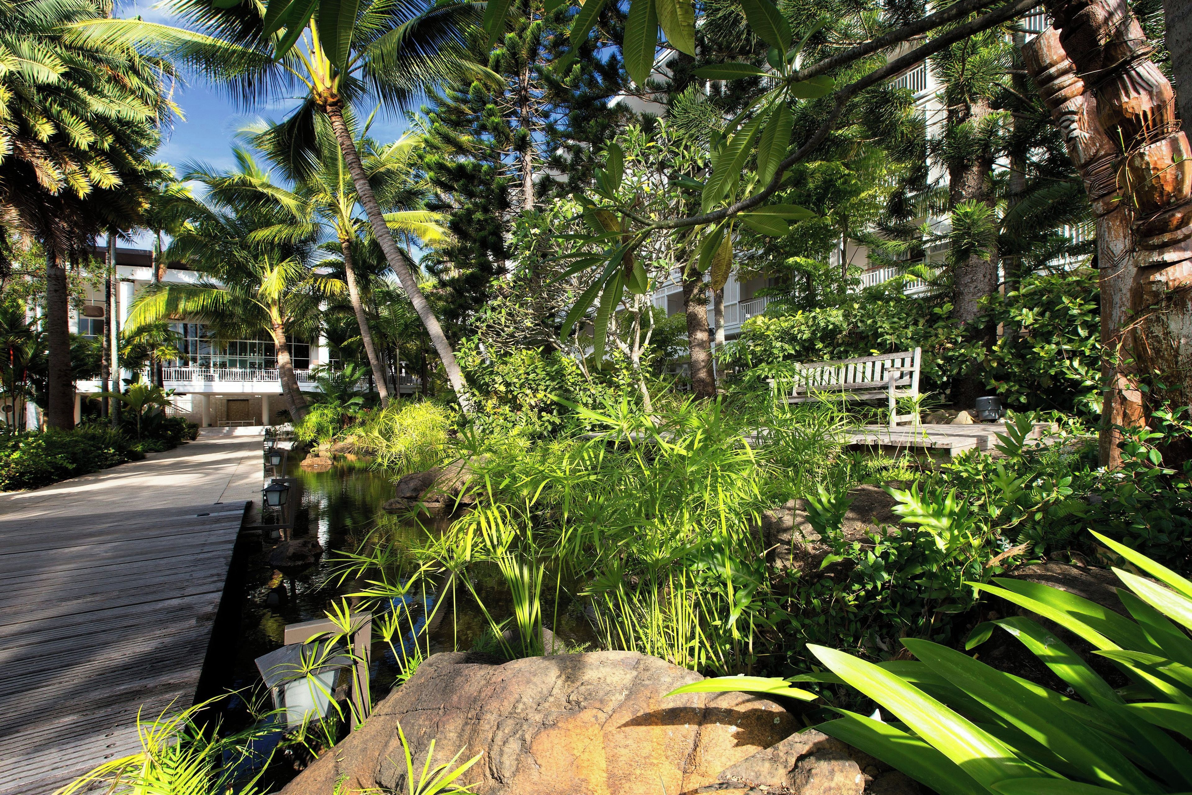A landscaped area with a water feature, palm trees, and a wooden deck.
