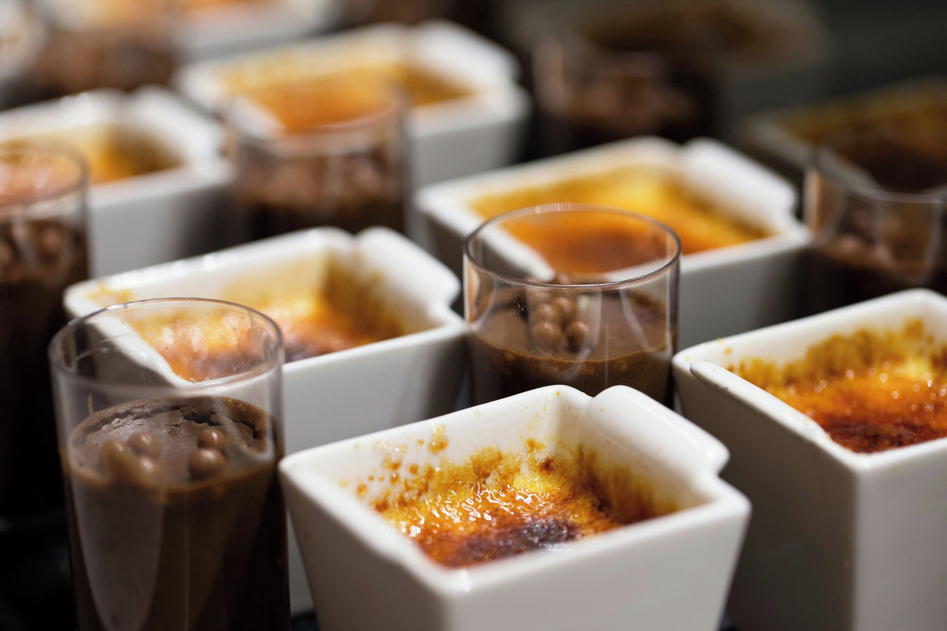 A series of square white dishes with a golden-brown top, likely containing crème brûlée.