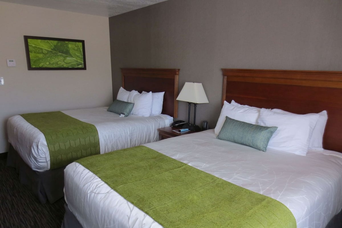 In-room safe, desk, laptop workspace, blackout curtains