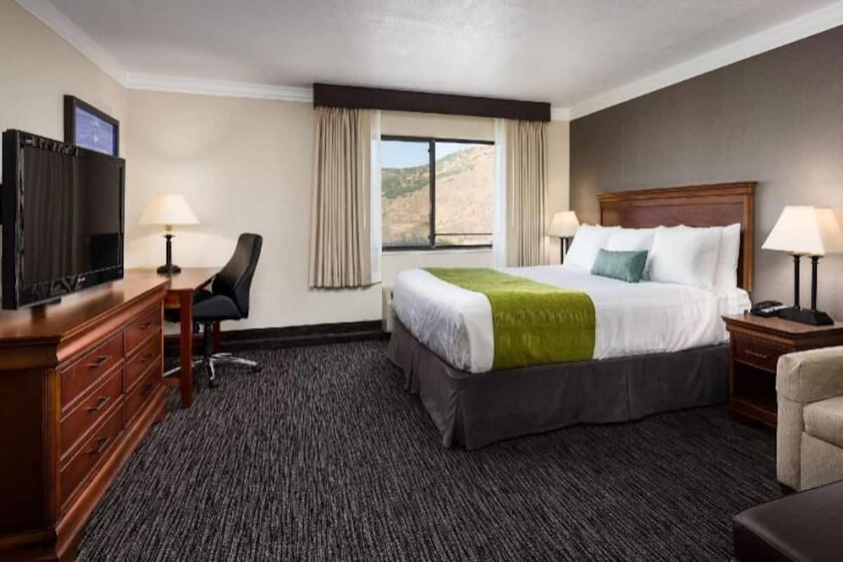 A hotel room with a bed, a TV, a desk, a chair, a sofa, and a window with curtains.