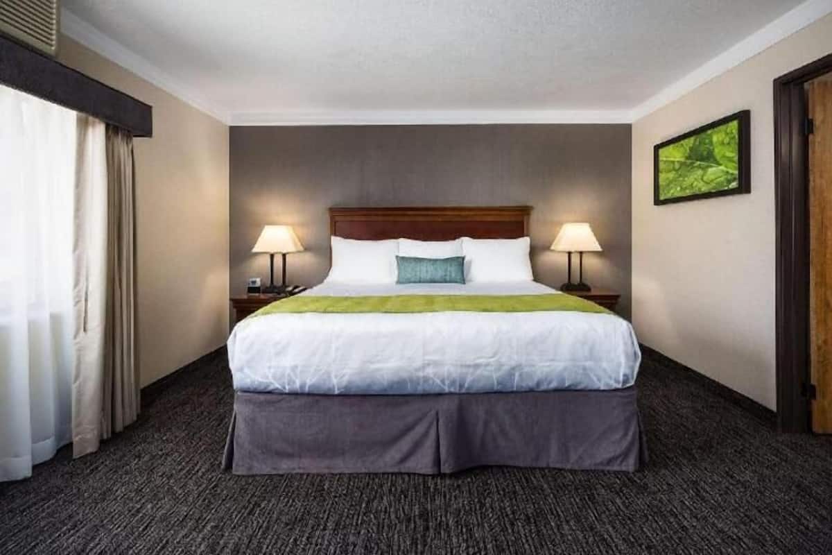 In-room safe, desk, laptop workspace, blackout curtains