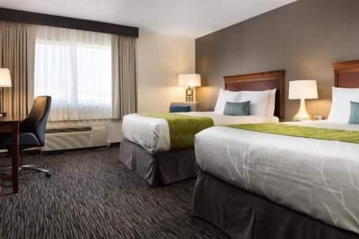 In-room safe, desk, laptop workspace, blackout curtains