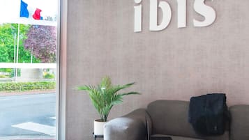 A modern interior with a sofa, a laptop, and a potted plant.