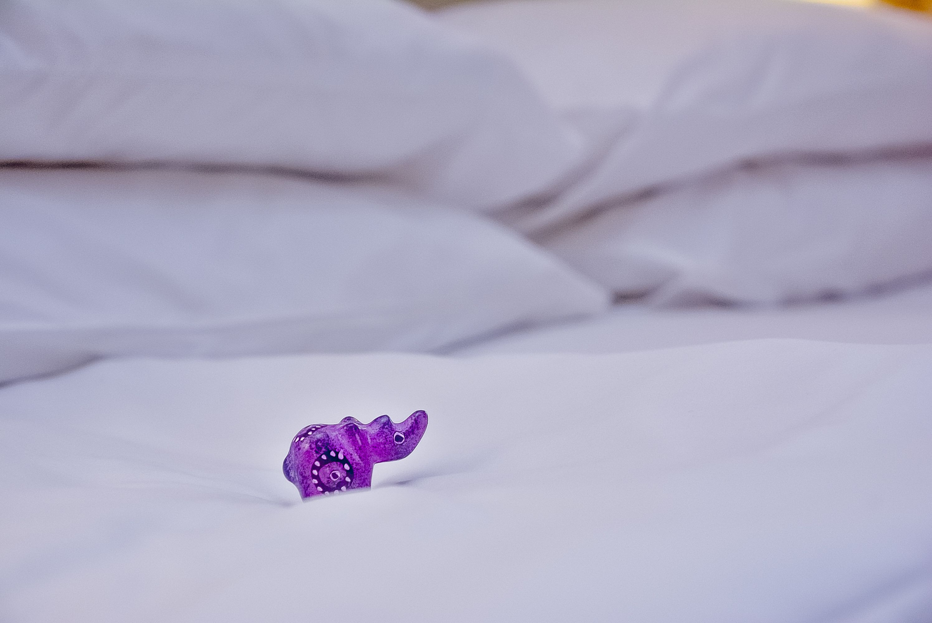 Foto - Fairmont The Norfolk