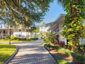 A paved pathway leading to a building with a covered walkway and a well-maintained garden with various plants. - Saddlebrook Resort (Wesley Chapel)