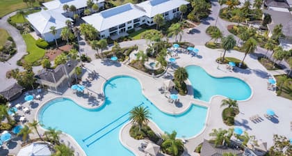 Saddlebrook Golf Resort & Spa Tampa North - Wesley Chapel