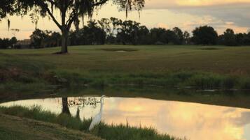 A serene landscape with a pond, grassy areas, and trees.