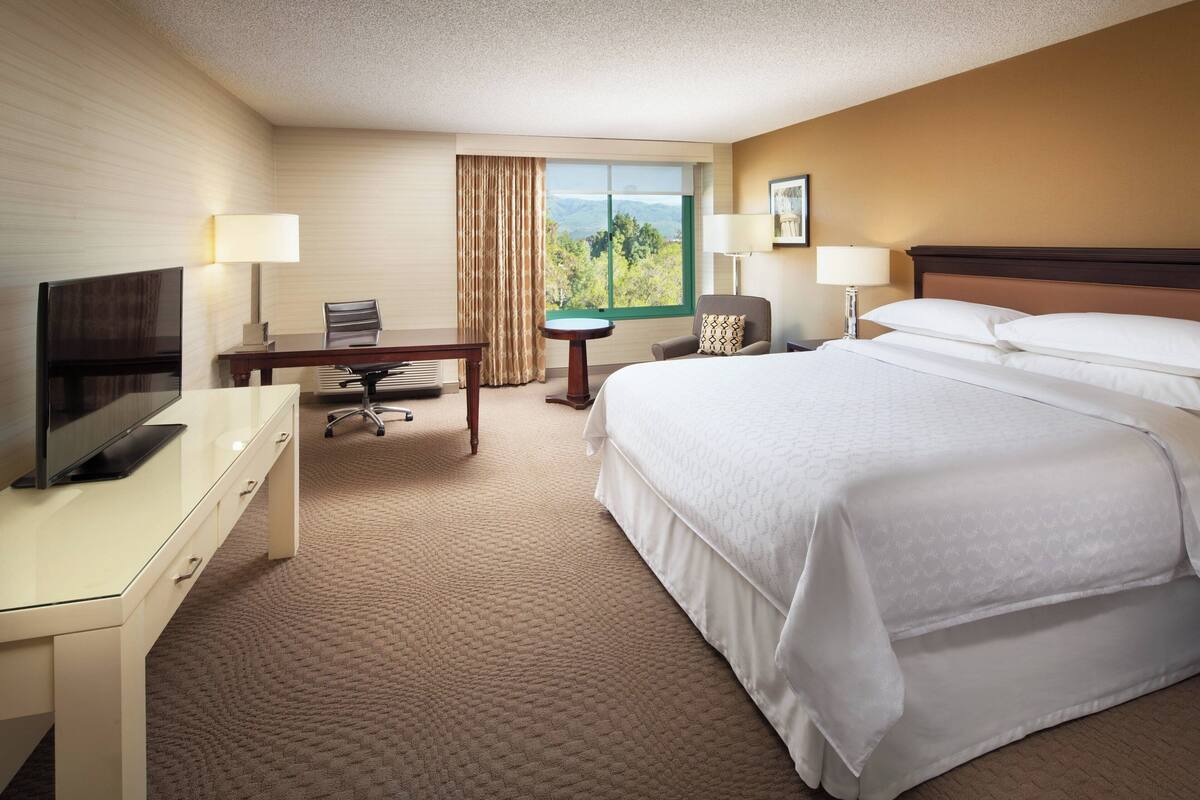 A hotel room with a bed, a desk, a chair, a TV, and a window with a view of the outdoors.