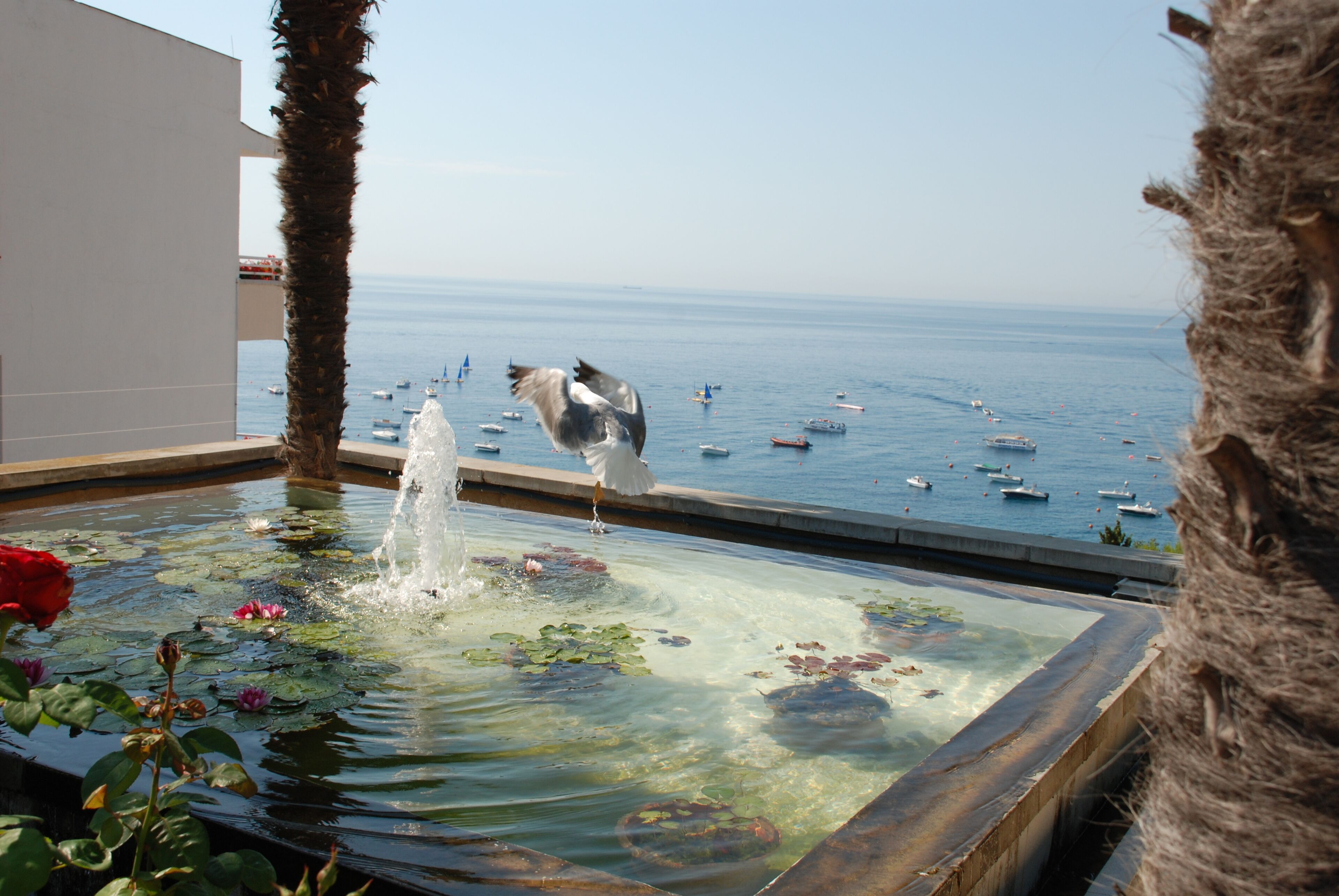 Foto - Gran Hotel Reymar 4 Sup