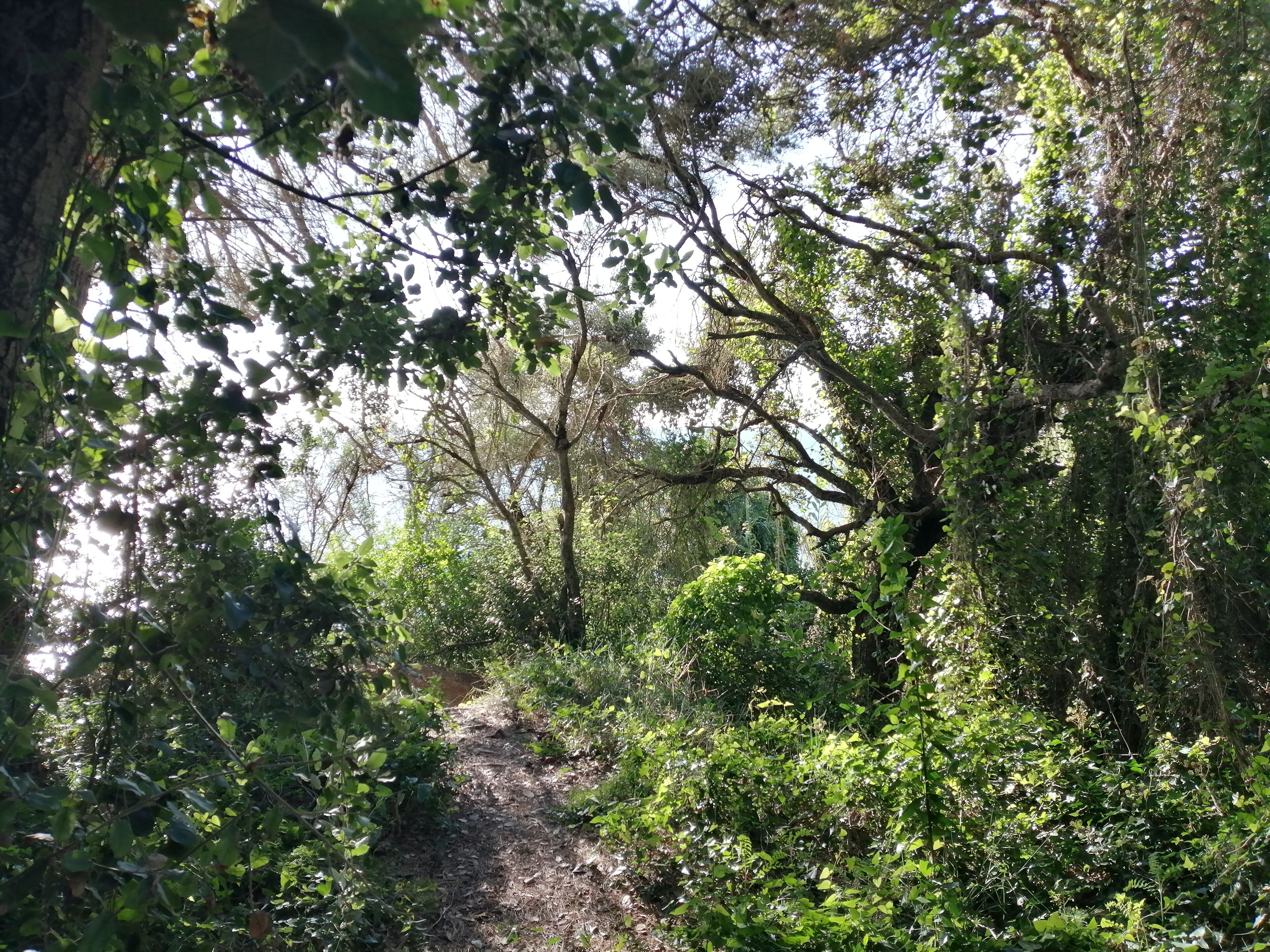 Foto - Gran Hotel Reymar 4 Sup