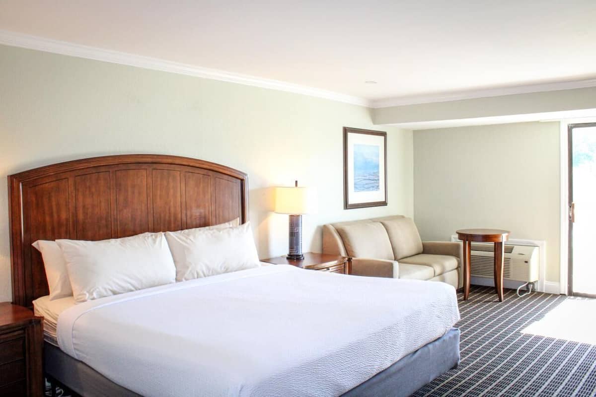 A hotel room with a large bed, a desk, a chair, and a view of the outdoors.