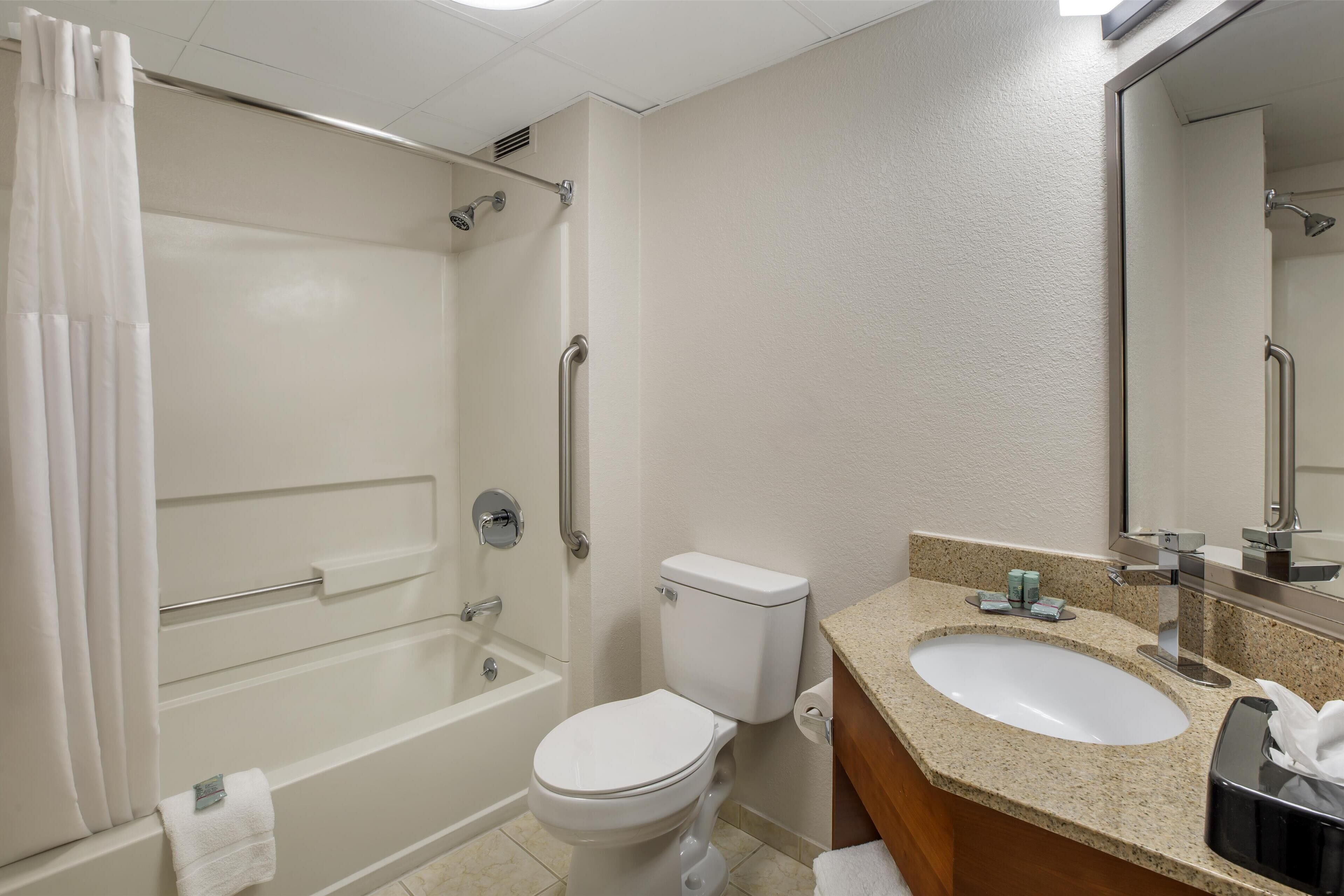 Un baño con bañera, inodoro, lavabo y espejo.