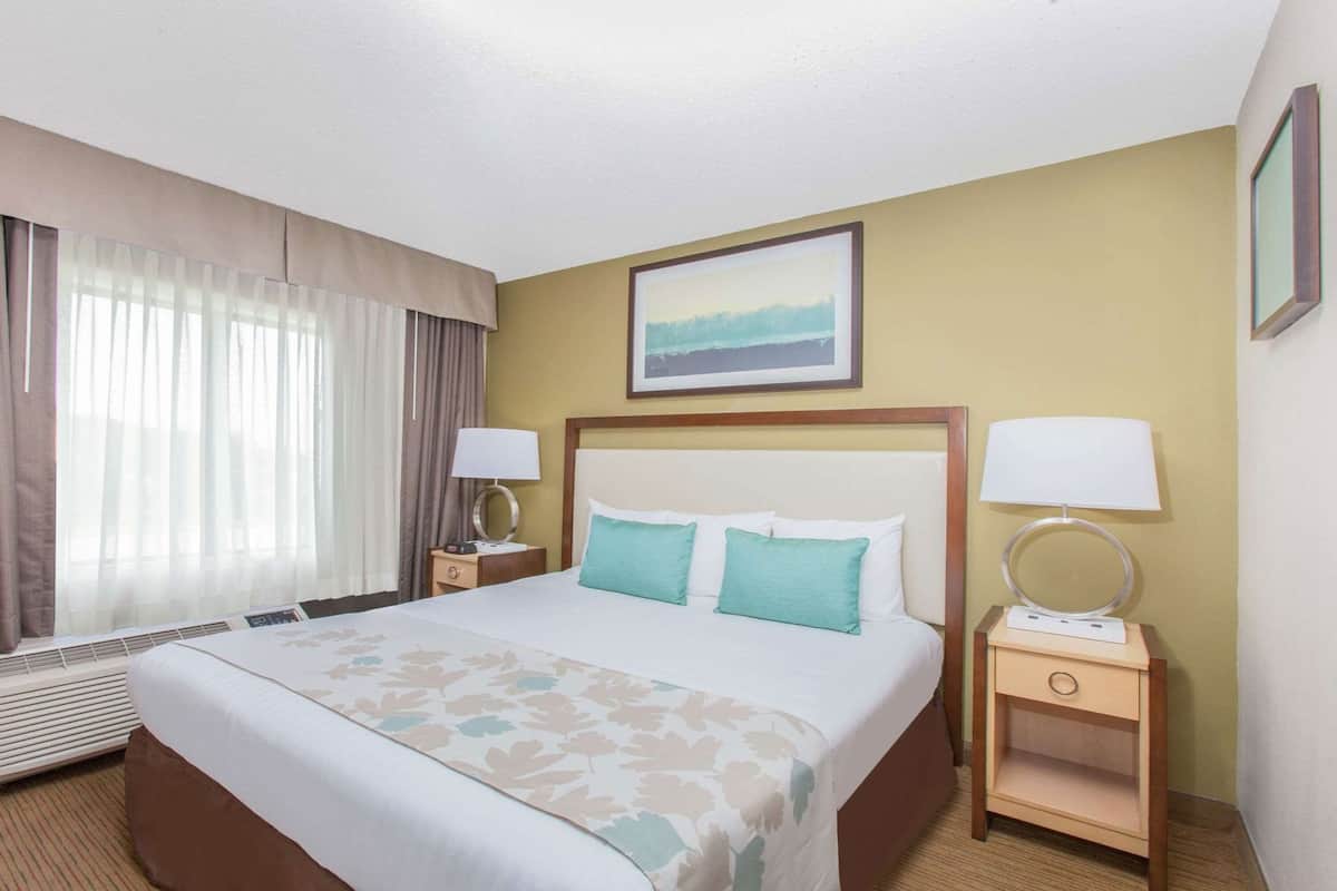 Premium bedding, desk, laptop workspace, blackout drapes