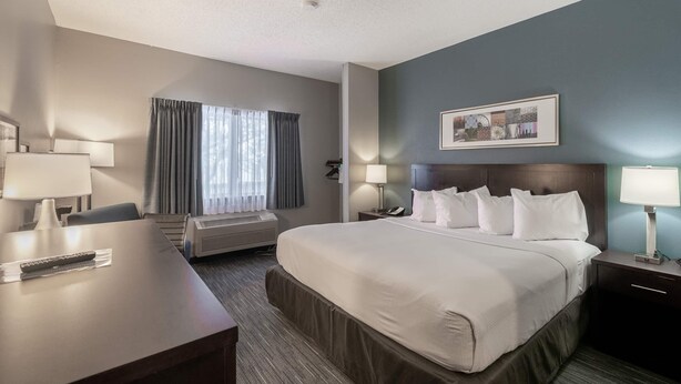 A hotel room with a large bed, two bedside tables with lamps, a desk with a remote control, a window with curtains, and a framed picture on the wall. - Wingate by Wyndham Great Falls (Great Falls)