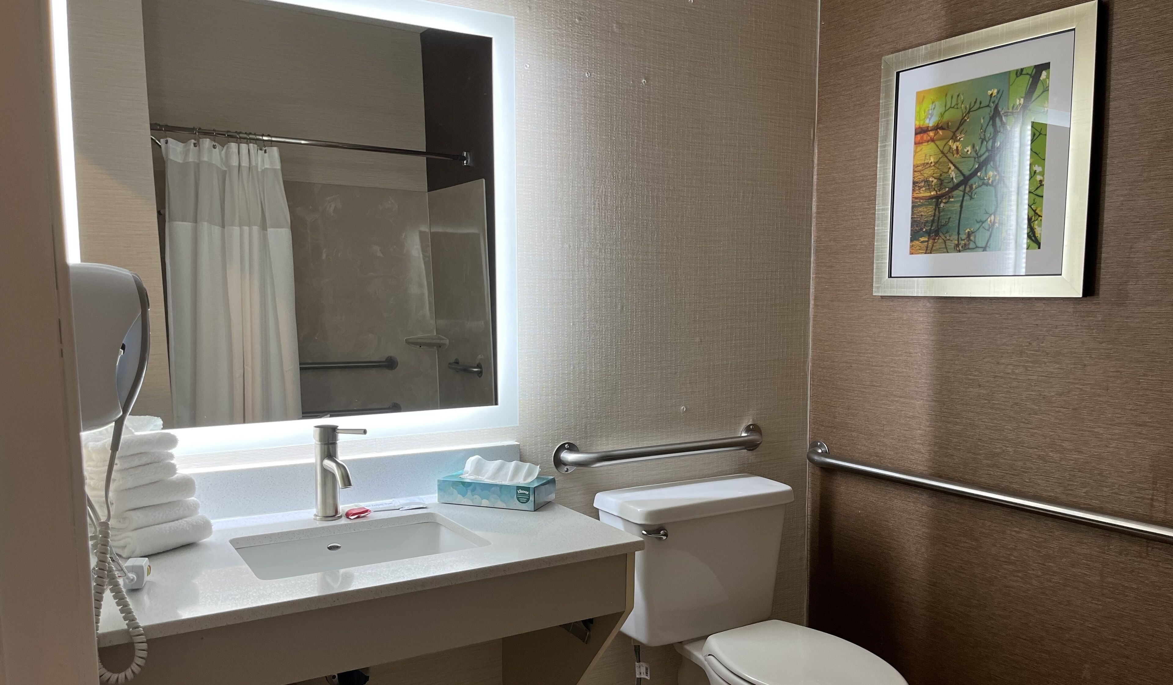 room, 1 king bed, accessible, non smoking (mobility, tub w/grab bars) | bathroom | combined shower/bathtub, eco-friendly toiletries, hair dryer, towels