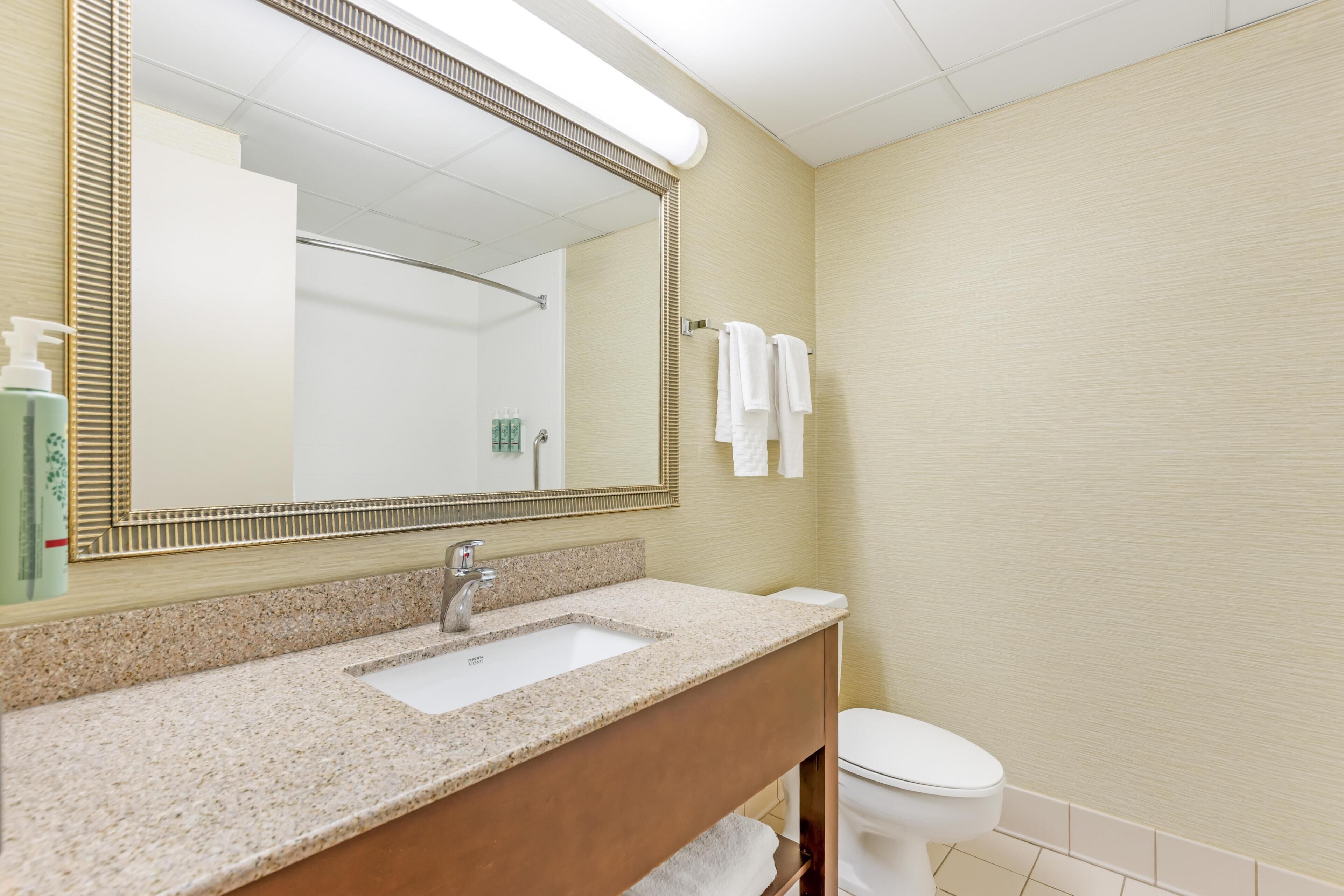 Une salle de bain avec un lavabo, un miroir et des toilettes.