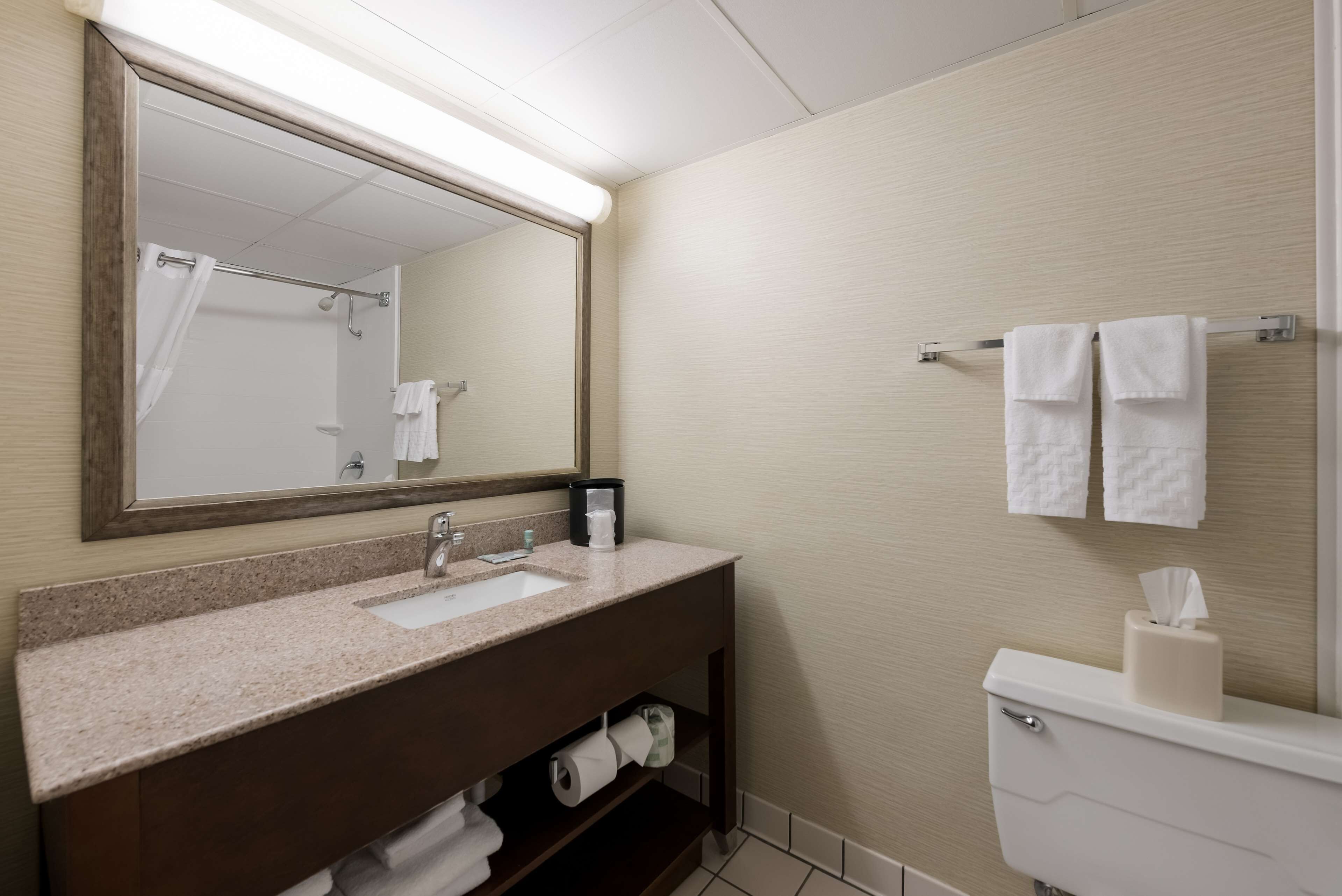 combined shower/bathtub, free toiletries, hair dryer, towels