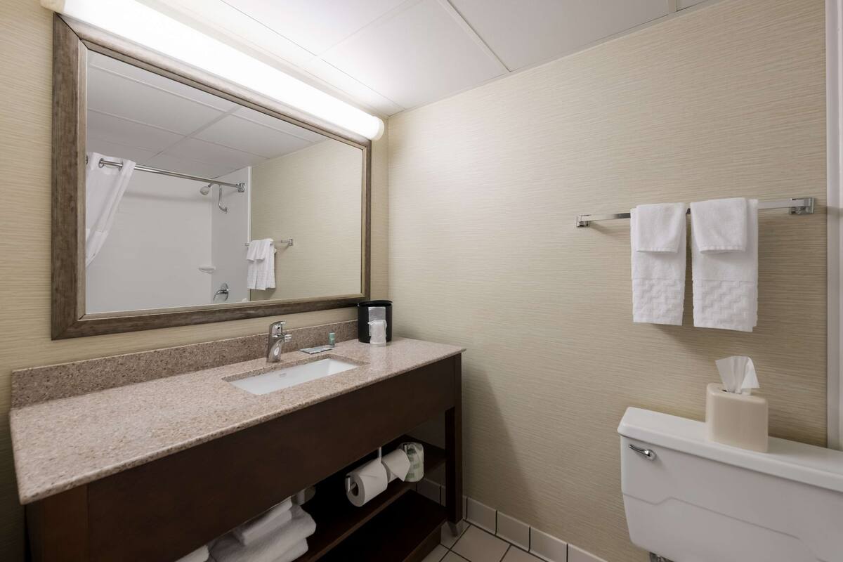 combined shower/bathtub, free toiletries, hair dryer, towels