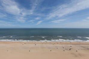 On the beach, sun loungers, beach umbrellas, beach volleyball