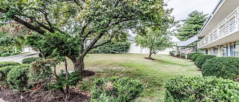BBQ/picnic area