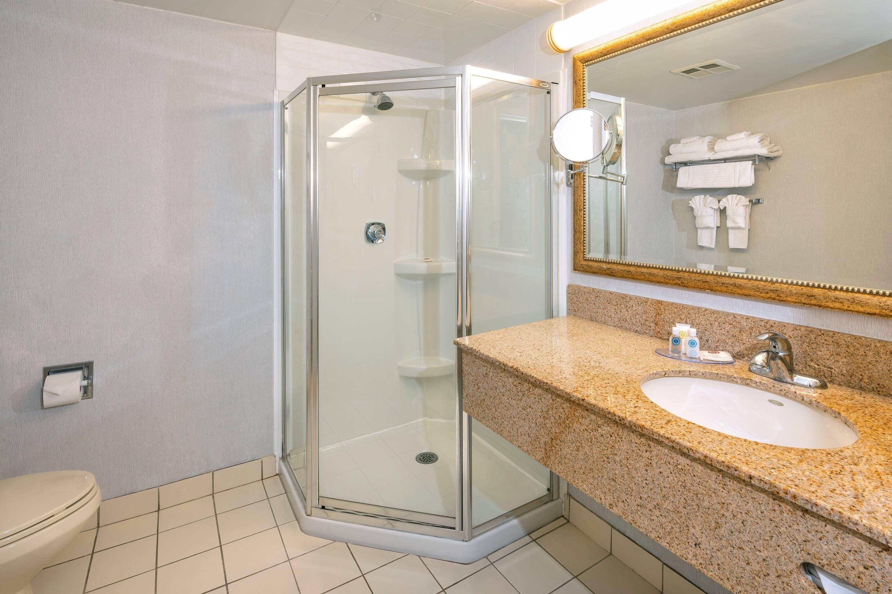 Un baño moderno con ducha de vidrio, lavamanos con encimera de granito y espejo con marco dorado.