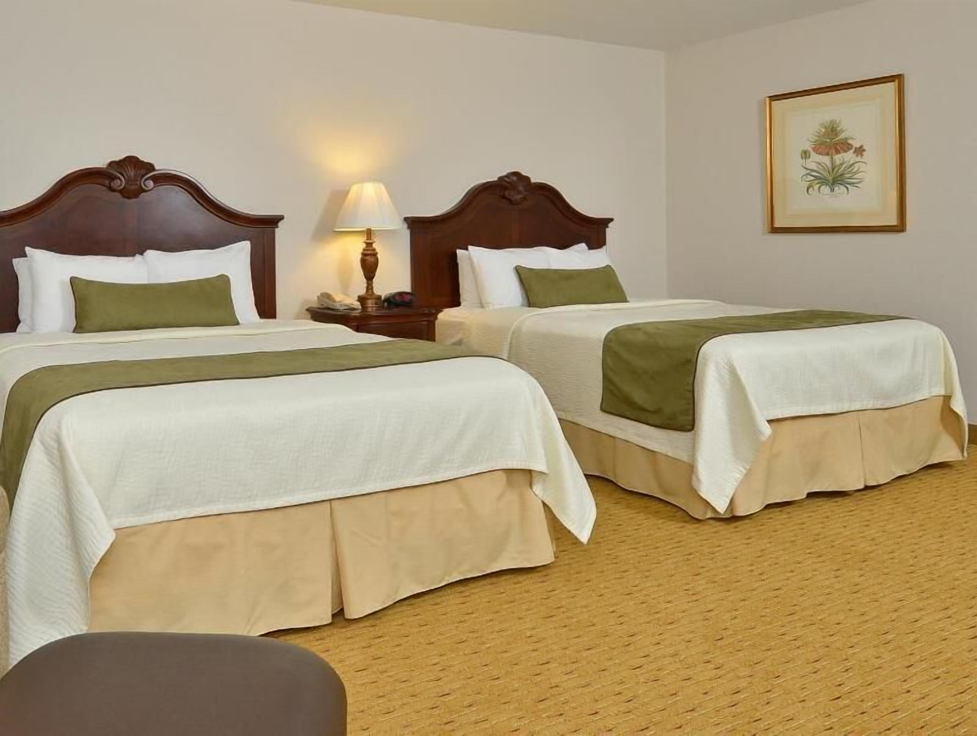 Premium bedding, pillowtop beds, in-room safe, desk