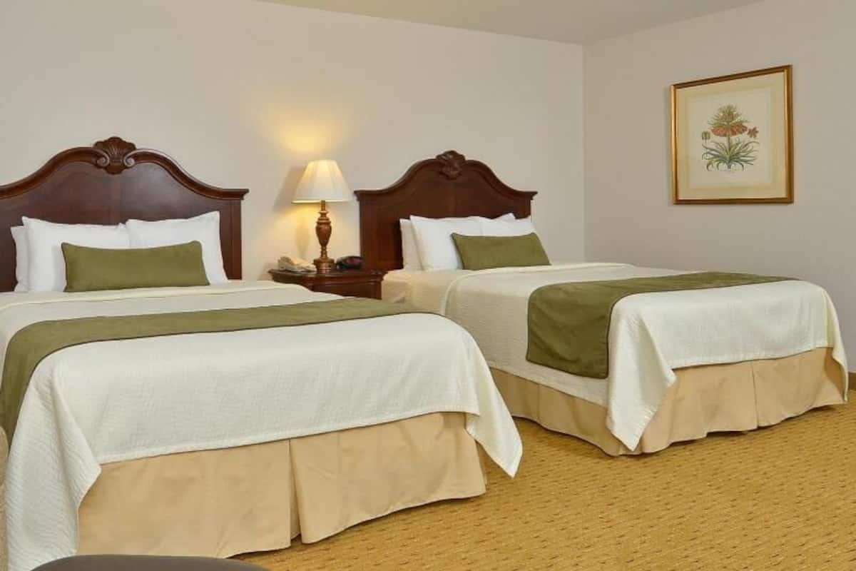 Premium bedding, pillowtop beds, in-room safe, desk