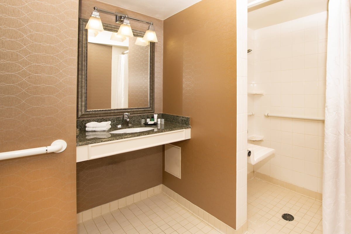 eco-friendly toiletries, hair dryer, towels, soap