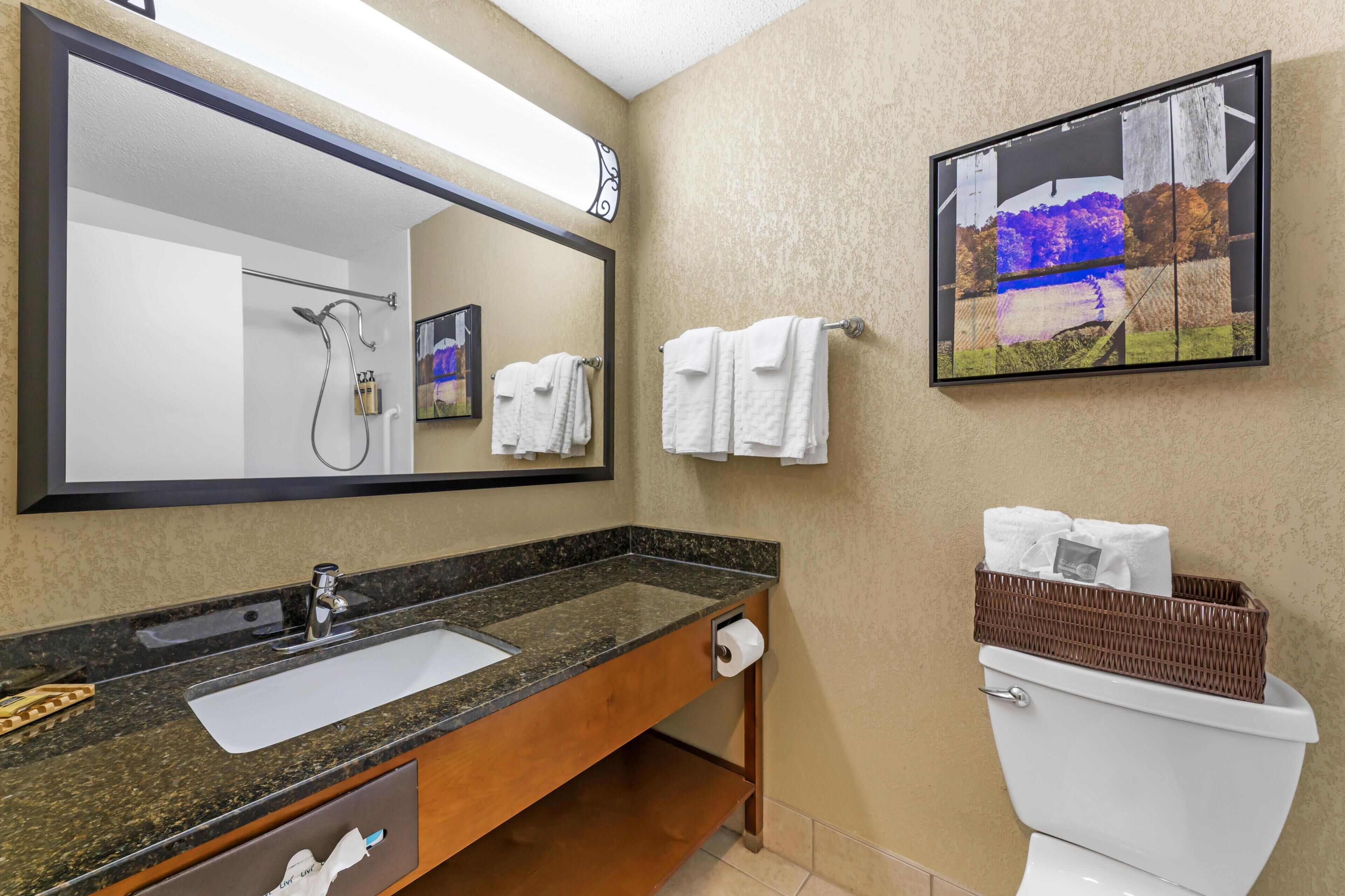 A bathroom with a sink, mirror, towel rack, toilet, and a framed picture on the wall.