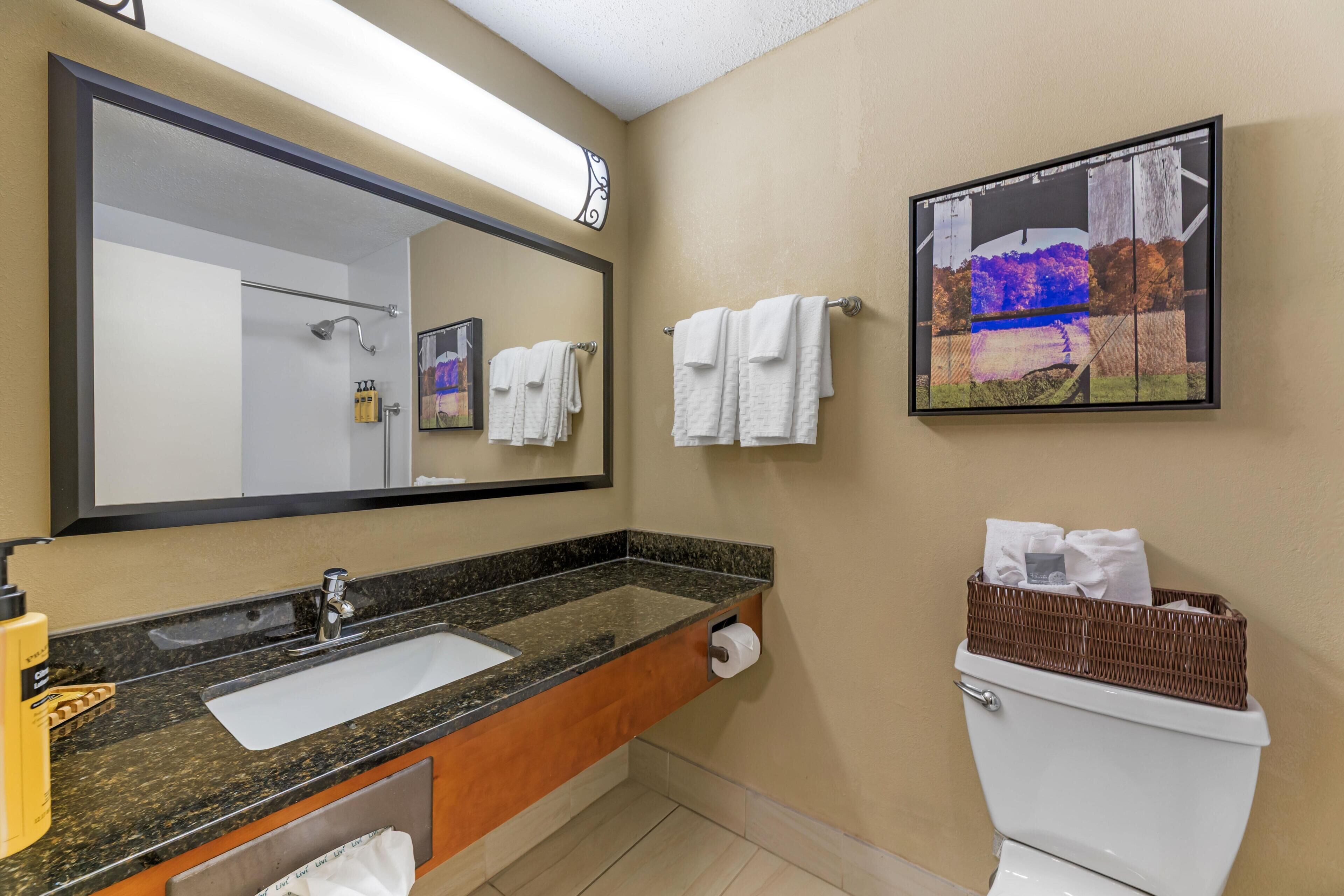 Un baño con lavamanos, espejo, toallero, inodoro y un cuadro en la pared.