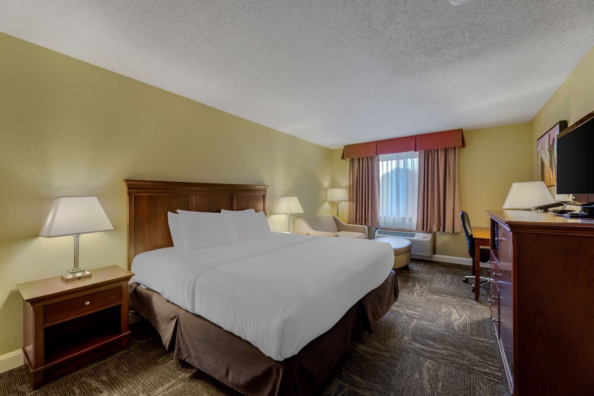Standard Room, 1 King Bed, Non Smoking, Refrigerator & Microwave (with Sofabed) | 1 bedroom, premium bedding, pillowtop beds, desk