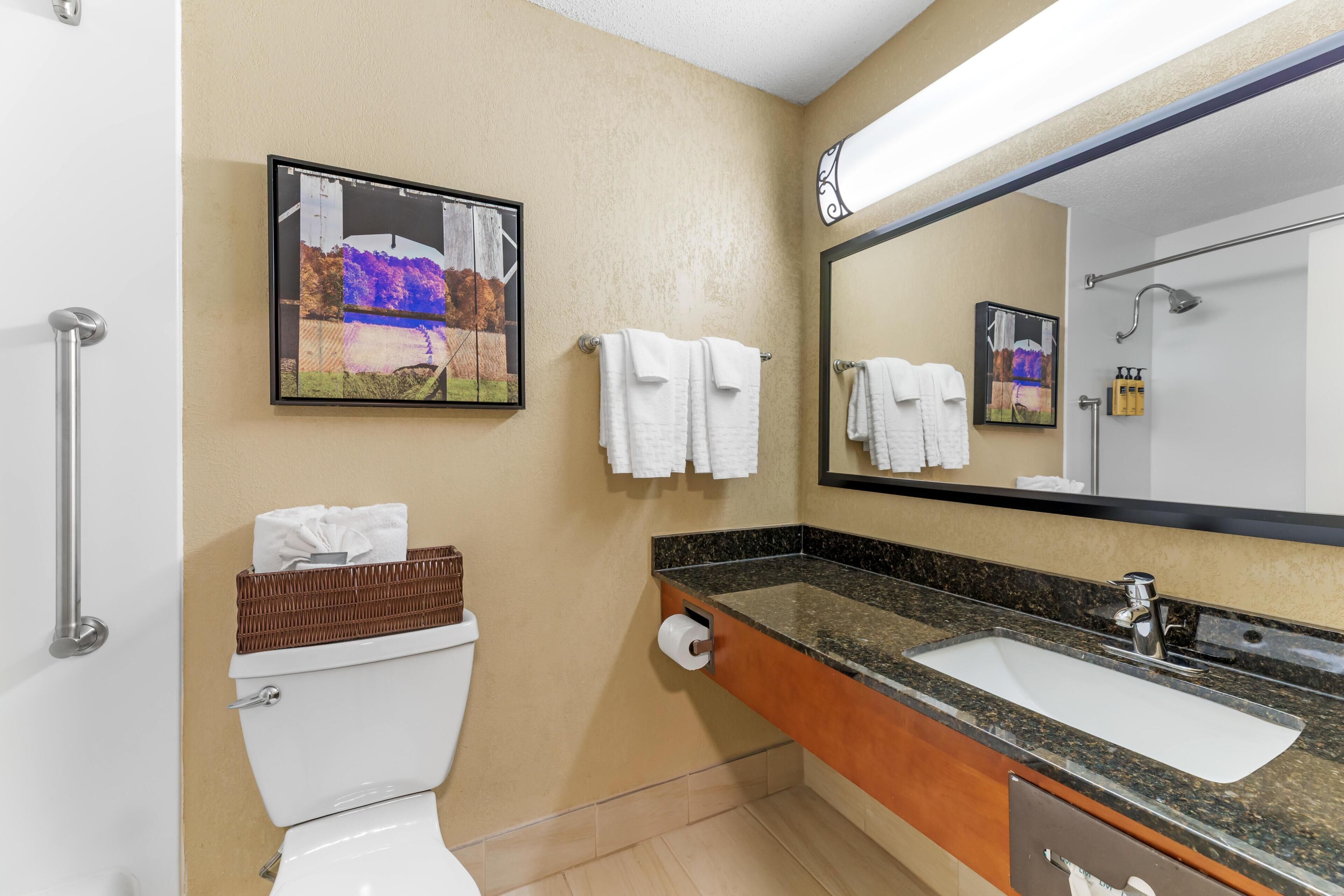 A bathroom with a toilet, a sink, a mirror, and a picture on the wall.